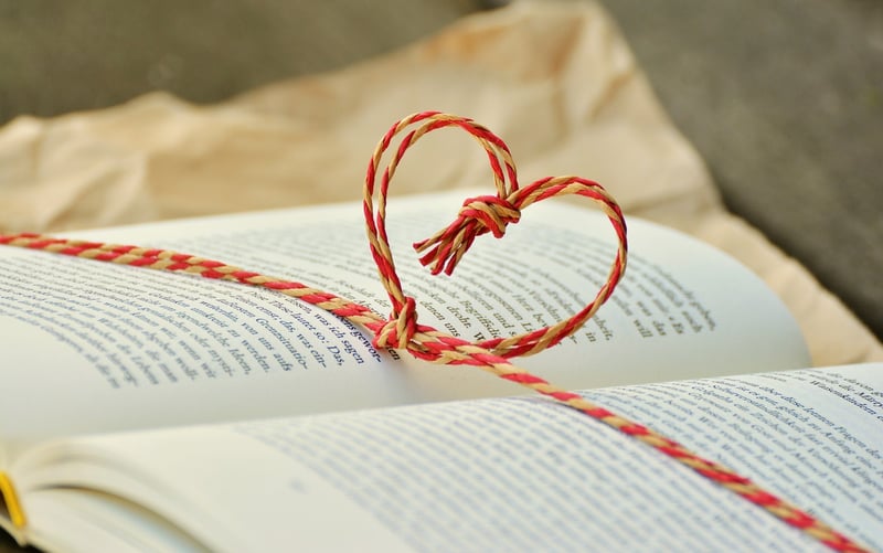 The Book Thief